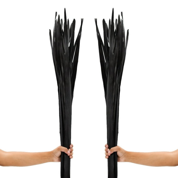 Leewadee Tall Vase Filler, Dried Palm Leaves – 2 Bunches Of Colored Decor for Floor Vases, Naturally Dried Arrangements For Vintage Or Modern House Decor,  Black Brown
