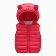 thumbnail image 1 of Leey-World Boys' Outerwear Vests Toddler Girls Boys Fleece Vest Kids V-Neck Vest Jacket Lightweight Sleevless Fall Winter Warm Outerwear(Red,2-3 Years), 1 of 5