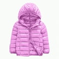 thumbnail image 1 of Leey-World Kids Puffer Vest Toddler Boys Girls Fleece Fuzzy Sherpa Vest Kids Stand Collar Sleeveless Zipper Jacket Fall Winter Faux Fur Coat(Purple,4-5 Years), 1 of 3