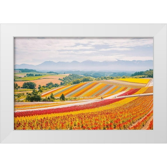 Lefer, Clement 14x11 White Modern Wood Framed Museum Art Print Titled - Flowers in Hokkaido II