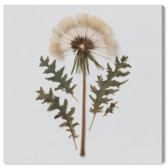 Left Behind I Canvas Print Botanical Wall Art by Art Remedy, Gallery Wrapped, 16 x 16