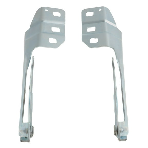 Left & Right Front Hood Hinge for 2013 2014 2015 2016 2017 2018 2019 Ford Fusion