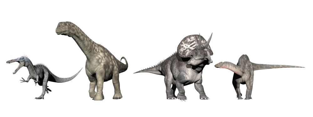 Left to Right Suchomimus Argentinosaurus Zuniceratops Dicraeosaurus Canvas Art - Elena DuvernayStocktrek Images (46 x 18)