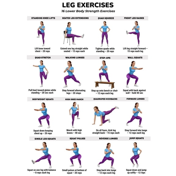 Leg Exercise Chart, Lower Limb Exercise Poster, Leg Exercise Exercise Poster, Fitness Exercise Chart, Home Exercise Poster