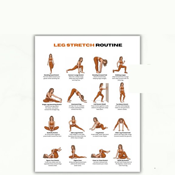 Leg Stretching Routine Poster, Lower Limb Stretching Exercise, Flexibility And Activity Chart Poster, Hamstring Stretching Guide, Leg Daytime Exercise Poster