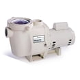 thumbnail image 1 of WhisperFlo Standard Efficiency Single Speed Full Rated Pump - 3 HP, 1 of 1