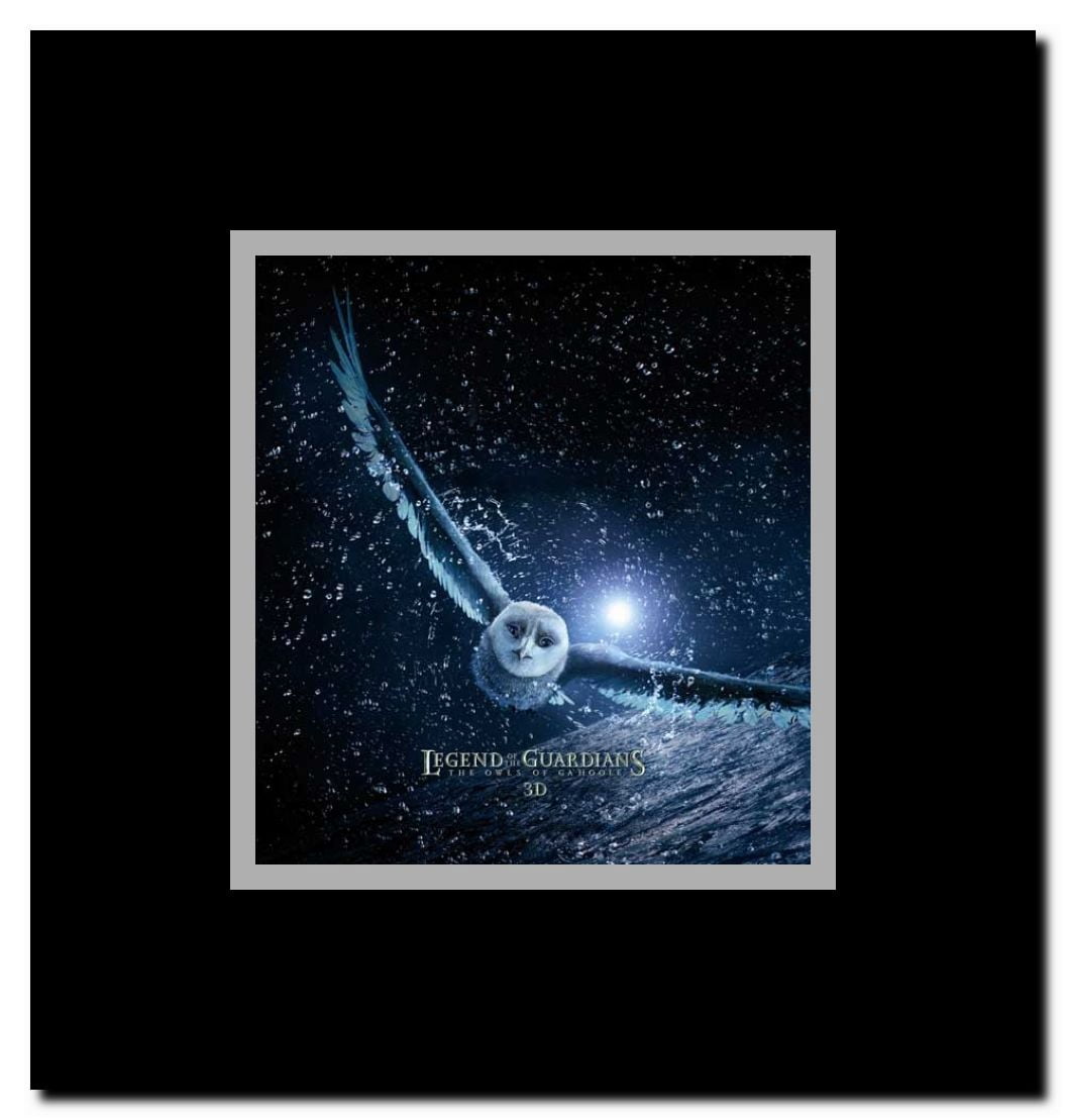 Legend of the Guardians: The Owls of Ga'Hoole Framed Movie Poster