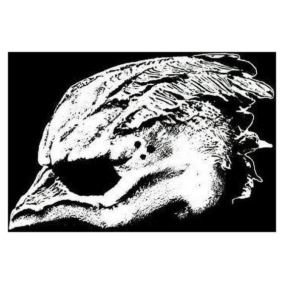 Legend of the Seagullmen - Legend Of The Seagullmen - Rock - Vinyl