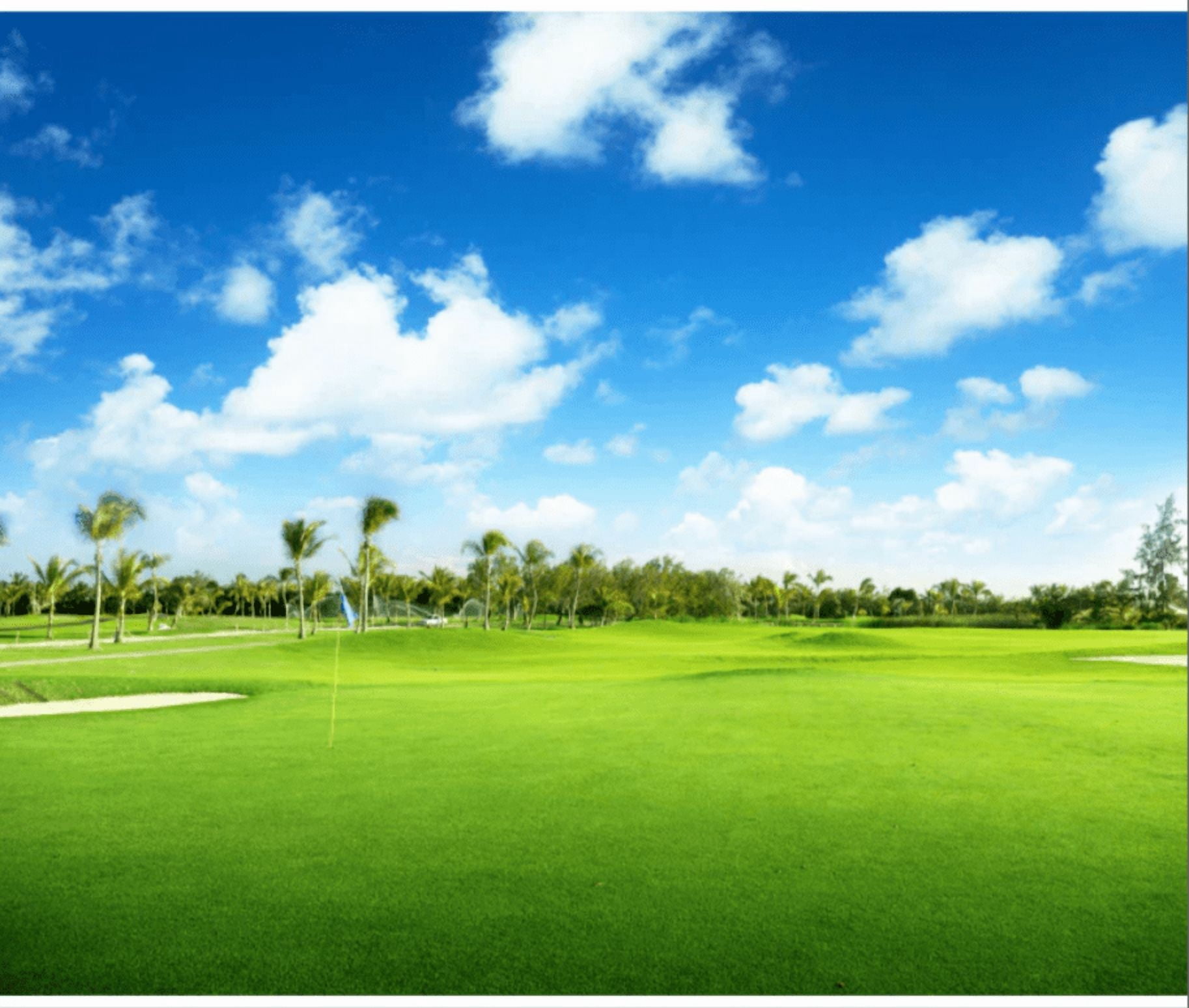 Legendary Blackjack Bermuda Grass Seed - 25 Lbs.