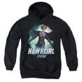 thumbnail image 1 of Legends Of Tomorrow Hawkgirl Kids Pull-Over Hoodie (X-Large) for Youth Boys and Girls, Black, 1 of 5