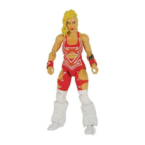 Legends of Lucha Libre Fanaticos Action Figure | Taya Valkyrie