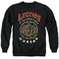 thumbnail image 1 of Legends of the Hidden Temple Vintage Unisex Adult Crewneck Sweatshirt, Black, 5X-Large, 1 of 5