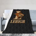 thumbnail image 1 of Lehigh University Logo Ultra-Soft Micro Fleece Blanket Soft Comfortable Flannel Blanket Available for Bed Couch Living Room, 1 of 8