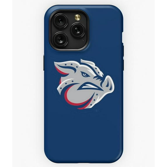 Lehigh Valley IronPigs Minor League Baseball Logo A241 Phone Case for iPhone 11 to 17 Pro Max