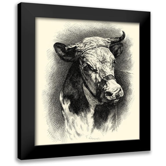Lehnert, F. 15x16 Black Modern Framed Museum Art Print Titled - Antique Cattle I