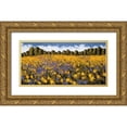 thumbnail image 1 of Leidenfrost, Wayne 14x9 Gold Ornate Wood Framed with Double Matting Museum Art Print Titled - Fields of Gold, 1 of 4