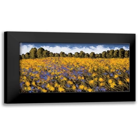Leidenfrost, Wayne 24x14 Black Modern Framed Museum Art Print Titled - Fields of Gold
