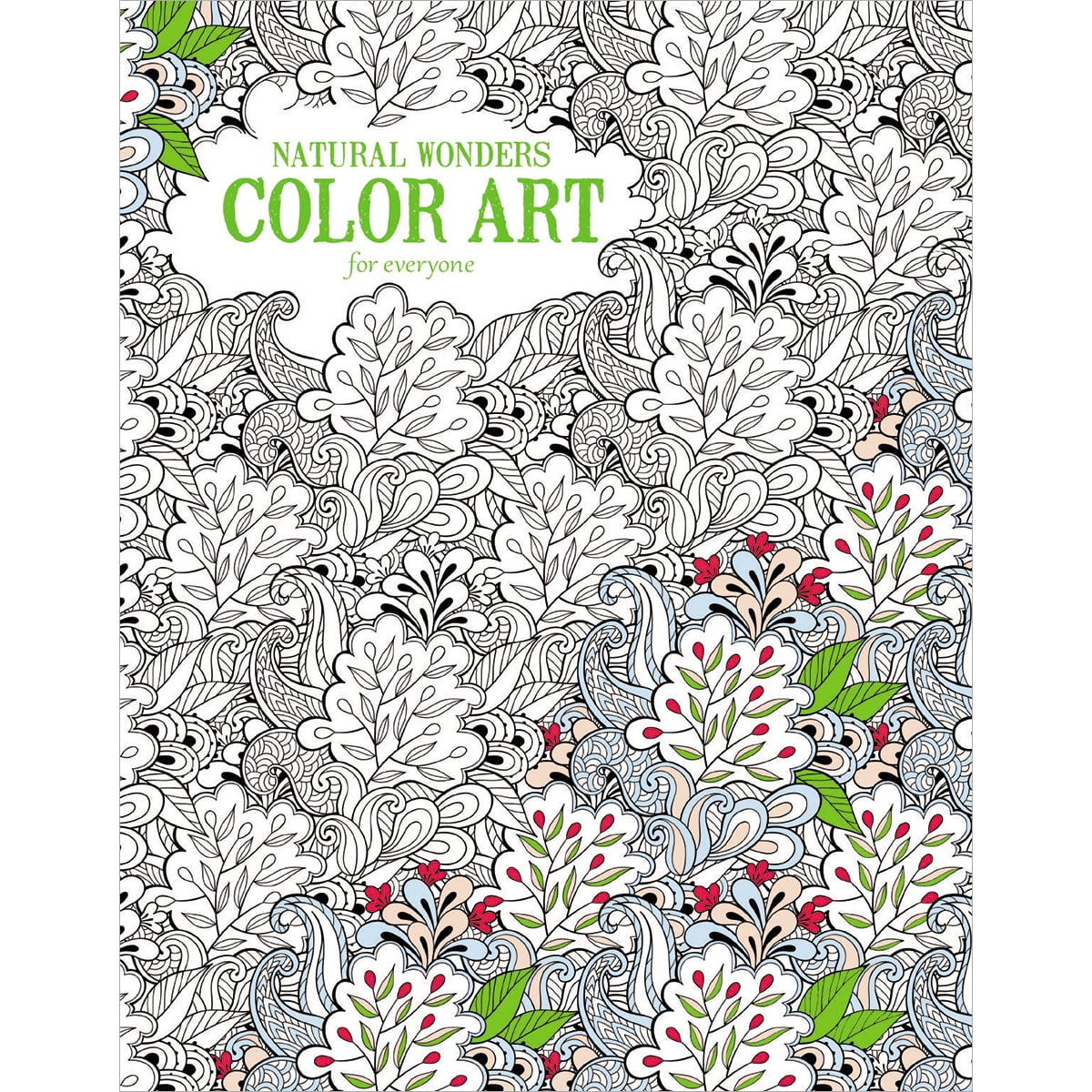 Leisure Arts Color Art for Everyone Natural Wonders Coloring Book ...