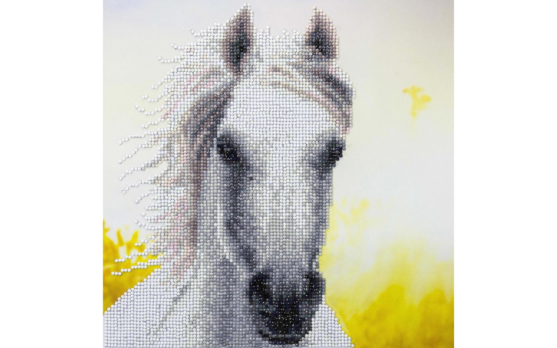 Diamond Art By Leisure Arts White Horse, 12"X12", Intermediate Diamond Painting Kits For Adults, Art For Adults, Kit, Painting