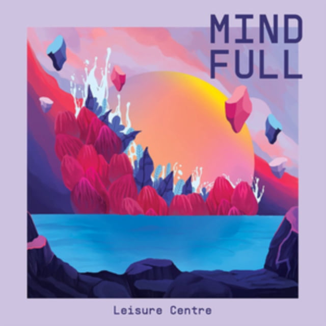 Leisure Centre - Mind Full - Vinyl - Walmart.com