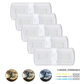 Leisure LED RV LED Ceiling Light Fixture 1450 Lumen with Touch Dimmer  Switch Interior Lighting for Car/RV/Trailer/Camper/Boat DC 12V Natural  White 4000-4500K (1-Pack) 