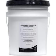 Leisure Pool Total Alkalinity Increaser Sodium Bicarbonate | 50 lb. Pails