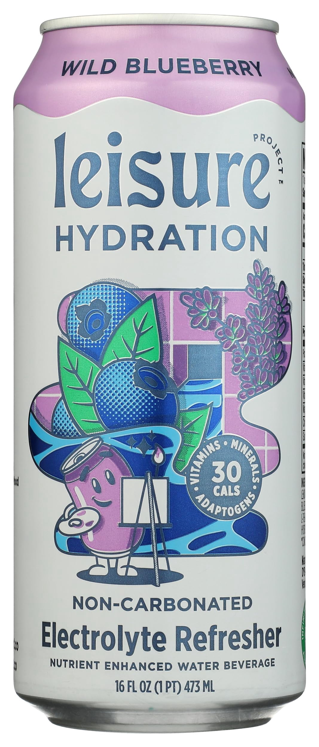 Leisure Project - Electrolyte Infused Blueberry Beverage - 16 FO, Case of 12