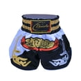 thumbnail image 1 of Lejafay Kids Boys Quick Dry Boxing Shorts Youth Boxing Trunk Muay Thai Shorts Martial Arts Kickboxing White&Black XL/170, 1 of 2