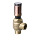 thumbnail image 1 of Leke Sleek Design Brass Differential Pressure Bypass Valve for Effective Use, 1 of 10