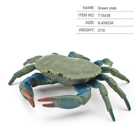 Lekihaqq 1 Packs Vibrant Marine Animal Figures Playset Realistic Sea Creature Toys Educational Ocean Life Sensory Playtime