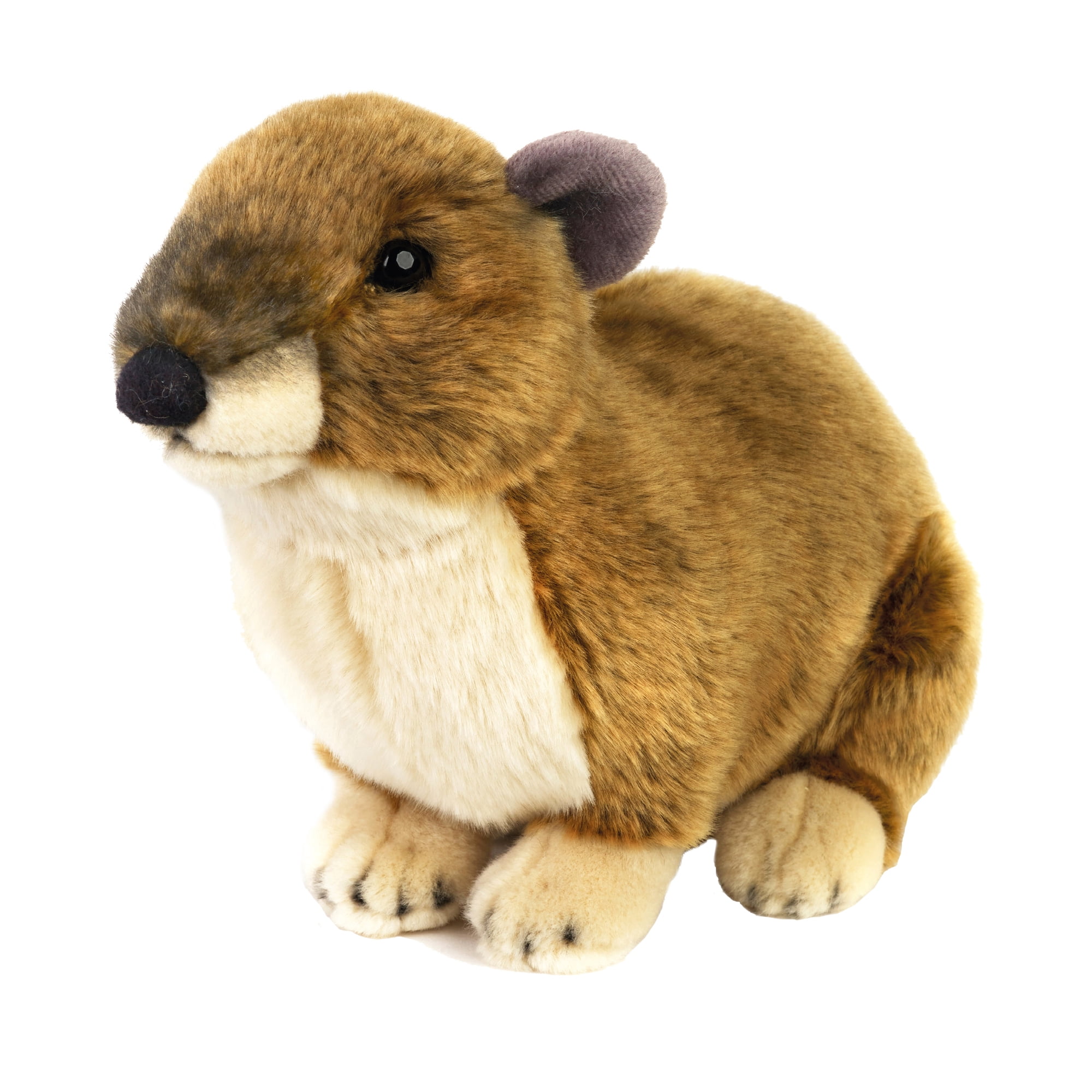 Lelly - National Geographic Plush, Dassie - Walmart.com