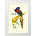 thumbnail image 1 of Lemaire, C.L. 13x18 White Modern Wood Framed Museum Art Print Titled - Lemaire Parrots IV, 1 of 4