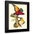 thumbnail image 1 of Lemaire, C.L. 19x24 Black Modern Framed Museum Art Print Titled - Small Lemaire Parrots I, 1 of 5