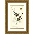 thumbnail image 1 of Lemaire, C.L. 20x32 Gold Ornate Wood Framed with Double Matting Museum Art Print Titled - Lemaire Hummingbirds IV, 1 of 4