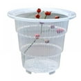 thumbnail image 1 of Lemetow Clear Plastic Orchid Pots With Holes Transparent Flower Pot Succulent Plants 15cm, 1 of 9