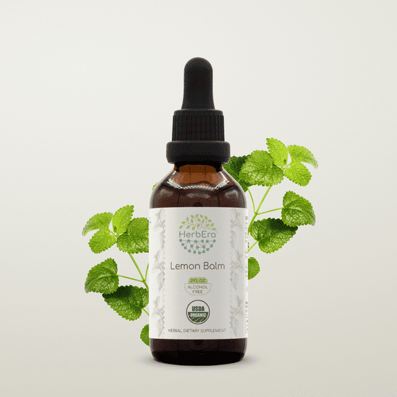 HerbEra Lemon Balm Tincture, Organic Herbal Dietary Supplement for Mood Support, Certified Organic Lemon Balm (Melissa officinalis) Dried Leaf Extract, Natural, Alcohol-Free, Drops 2 oz
