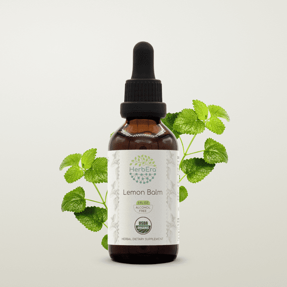 HerbEra Lemon Balm Tincture, Organic Herbal Dietary Supplement for Mood Support, Certified Organic Lemon Balm (Melissa officinalis) Dried Leaf Extract, Natural, Alcohol-Free, Drops 2 oz