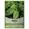 thumbnail image 1 of Lemon Basil Seeds, 1 of 7