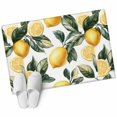 thumbnail image 1 of Lemon Bathroom Mat 2x3 FT, Non Slip Small Kitchen Mat, Summer Yellow Fruit Country Spring Leaf Plant Washable Soft Backed Front Door Throw Rug Non-Shedding Indoor Outdoor Doormat for Entryway Sink, 1 of 9
