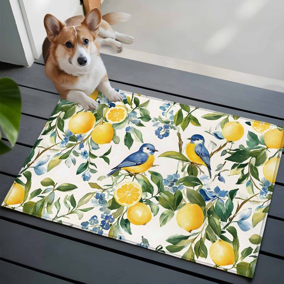 Lemon Bird 2x3 Area Rugs for Living Room, Fruit Leaves Branch Vintage Watercolor Non Slip Floor Mat Washable Low-Profile Indoor Carpet for Bedroom, Dining Room, Bathroom