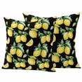 thumbnail image 1 of Lemon Black Outdoor Waterproof Pillow Covers, Country Fruit Watercolor Farmhouse Plant Decorative Square Throw Pillowcase Sofa Cushion Sham for Patio/Couch/Chair, 18"x18" 2 Pack, 1 of 8