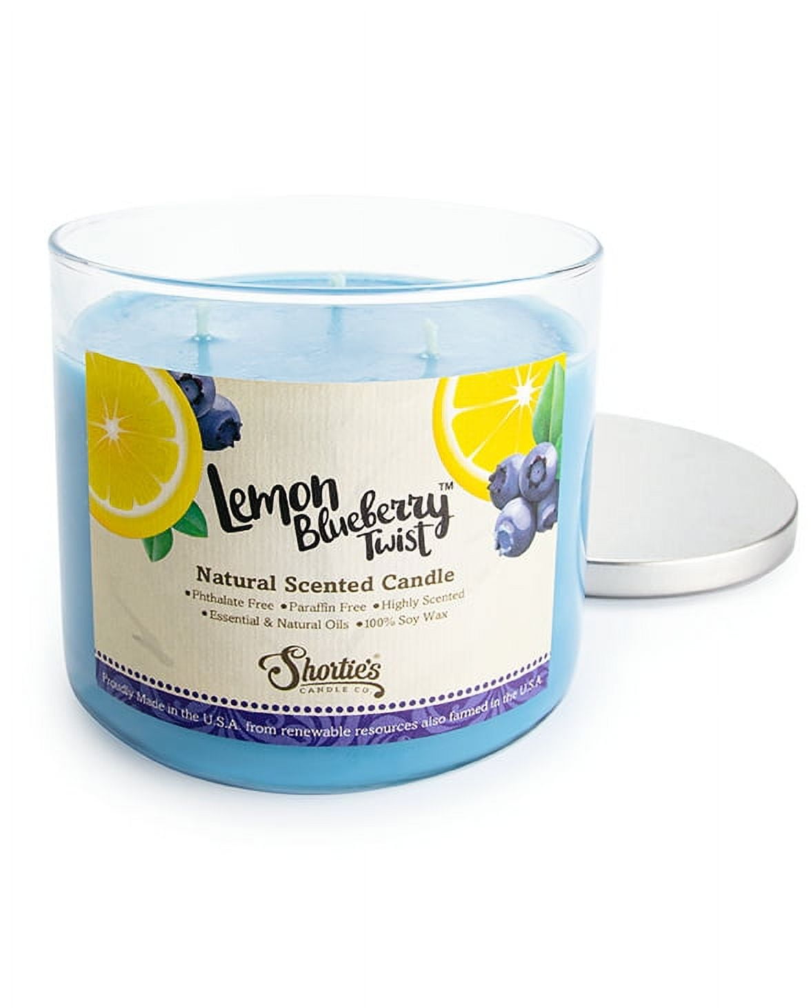 Lemon Blueberry Twist Scented 3 Wick Candle - All Natural - Made with 100% Responsibly Sourced Soy and Essential Fragrance Oils - Phthalate & Paraffin Free, Vegan, Non-Toxic