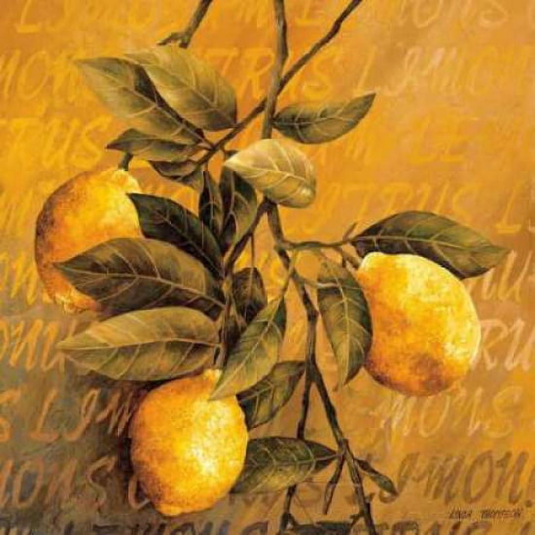 Lemon Branch Canvas Art - Linda Thompson (24 x 24)