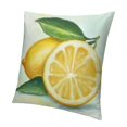 thumbnail image 1 of Lemon Decor Pillow Cover Decor Cushion Covers Couch Sofa Home Office Holiday Party Decorative Pillows for Bed Vacation, 1 of 5