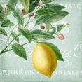 thumbnail image 1 of Lemon Drop 1 Poster Print by Allen Kimberly, 1 of 5