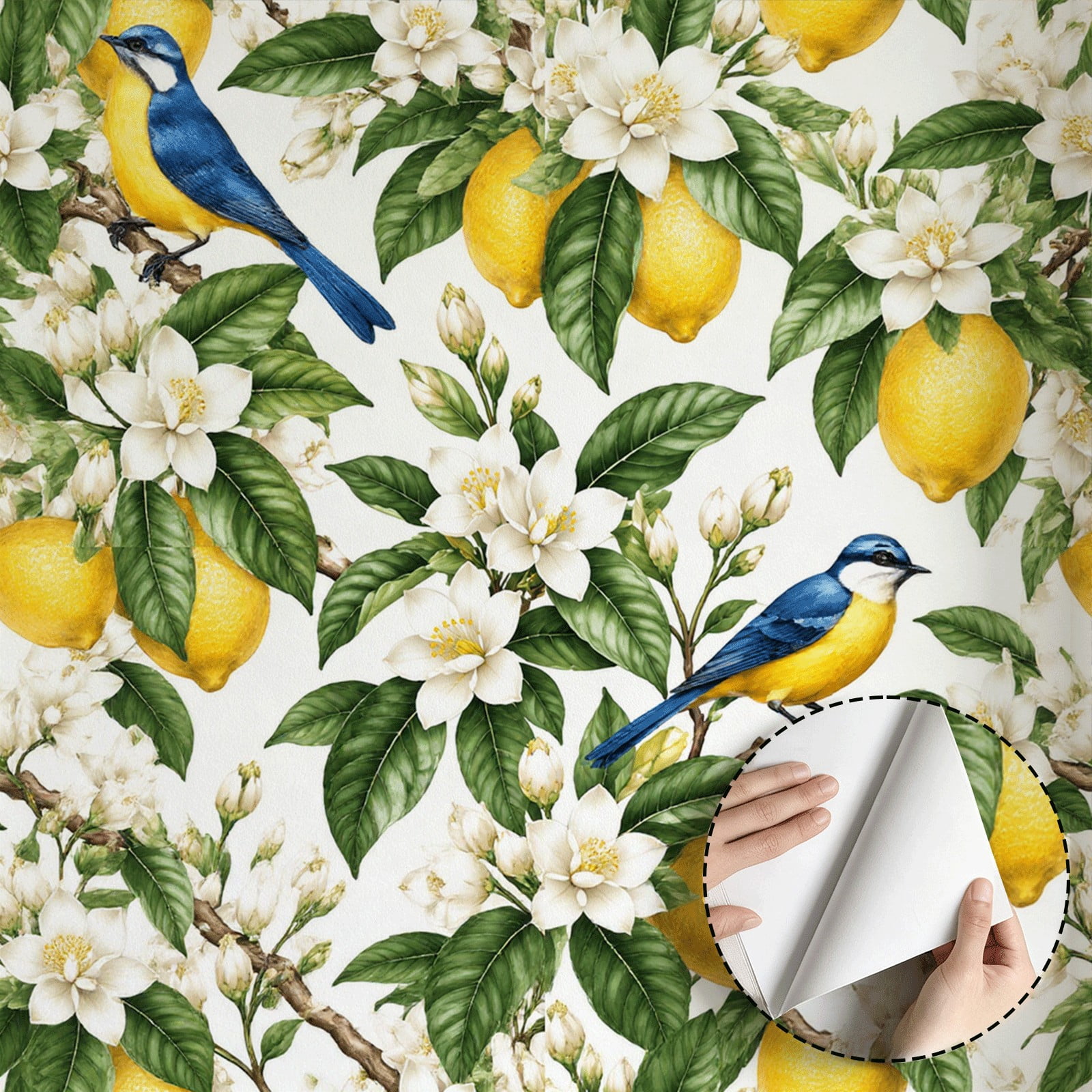Lemon Flower Bird Print Wallpaper Rustic Farmhouse Modern Peel and ...