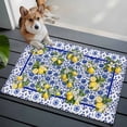 thumbnail image 1 of Lemon Flower Front Door Rugs 2x3 ft Summer Lemon Blue Floral Texture Small Rug for Entryway Non Slip Washable Bathroom Door Mat Absorbent Floor Mat for Indoor Entrance, 1 of 9