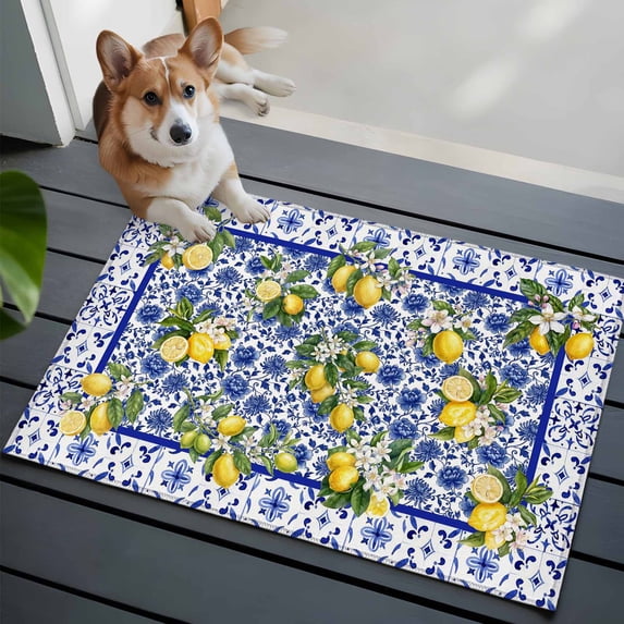 Lemon Flower Front Door Rugs 2x3 ft Summer Lemon Blue Floral Texture Small Rug for Entryway Non Slip Washable Bathroom Door Mat Absorbent Floor Mat for Indoor Entrance