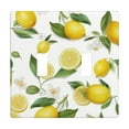 thumbnail image 1 of Lemon Fresh Switch Cover Decorative Wall Plate, 1 of 5