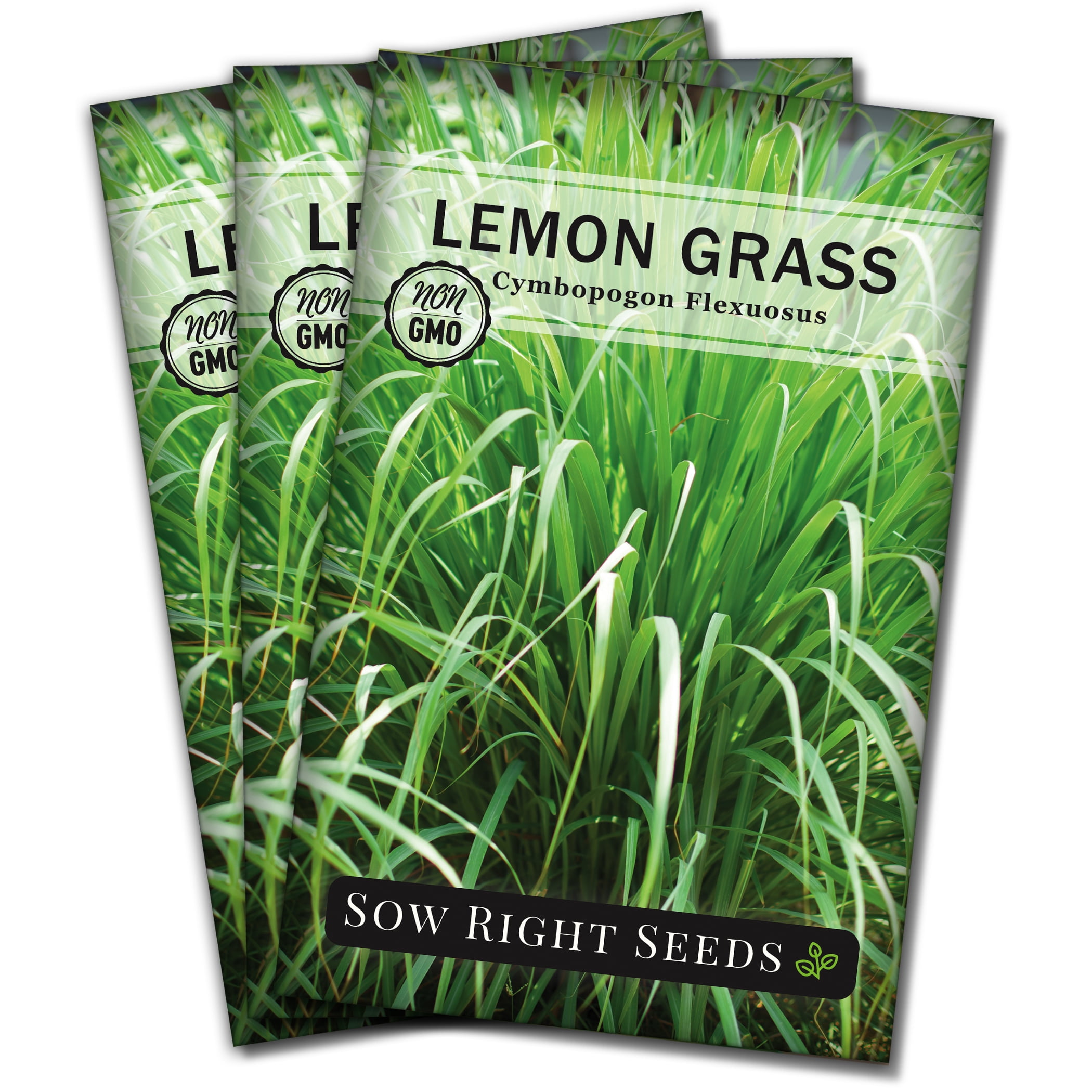 Lemon Grass Seeds for Planting Non GMO Heirloom Varieties for your